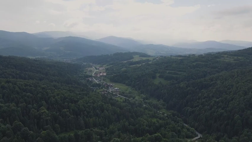 Un atelier du bois en Pologne, face aux montagnes
